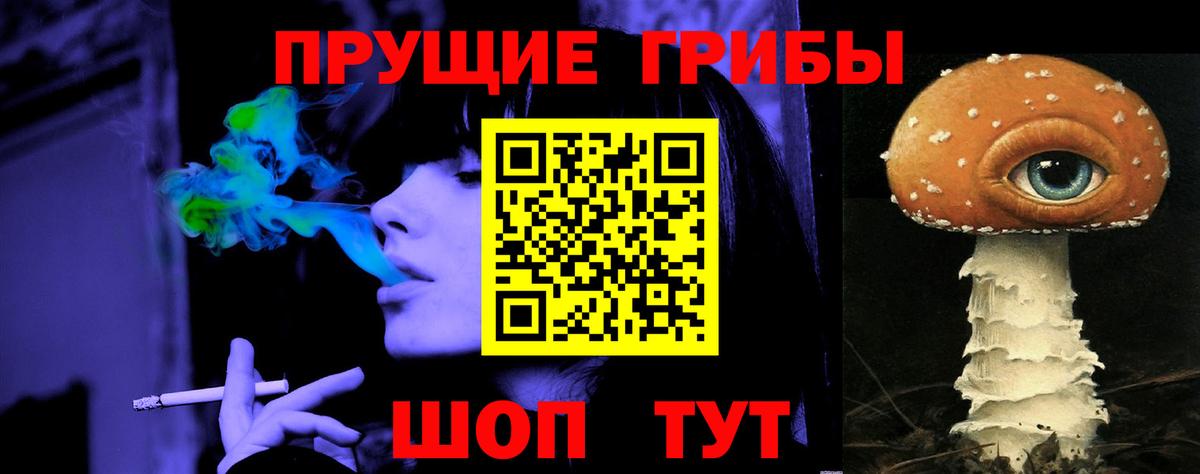 Уссурийск  Галлюциногенные грибы Psilocybe  Вход с VPN 